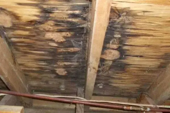 Roof leak water damage in the attic of a Cedar Park home